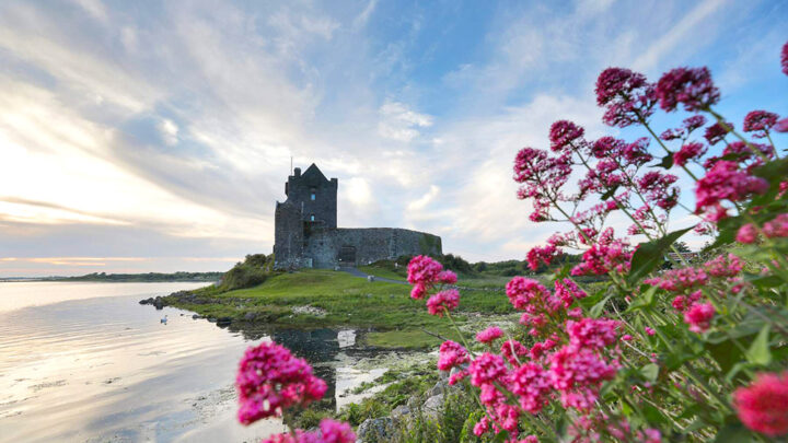 Dunguaire-castle-Kinvara-Co-Galway