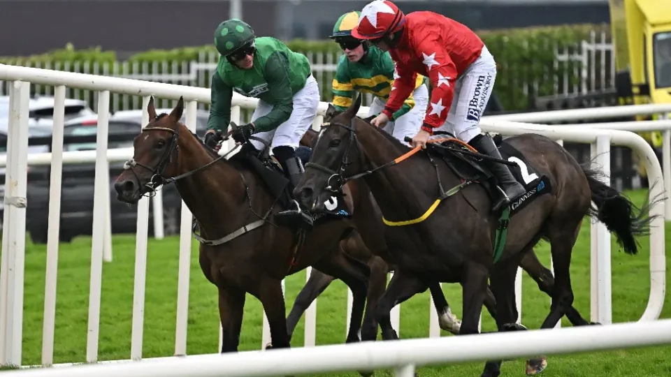 galway-races_1000px_min