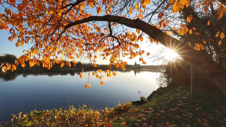 Autumn leaves over tranquil lake at sunset, inviting serene stays with picturesque views and restful ambience.