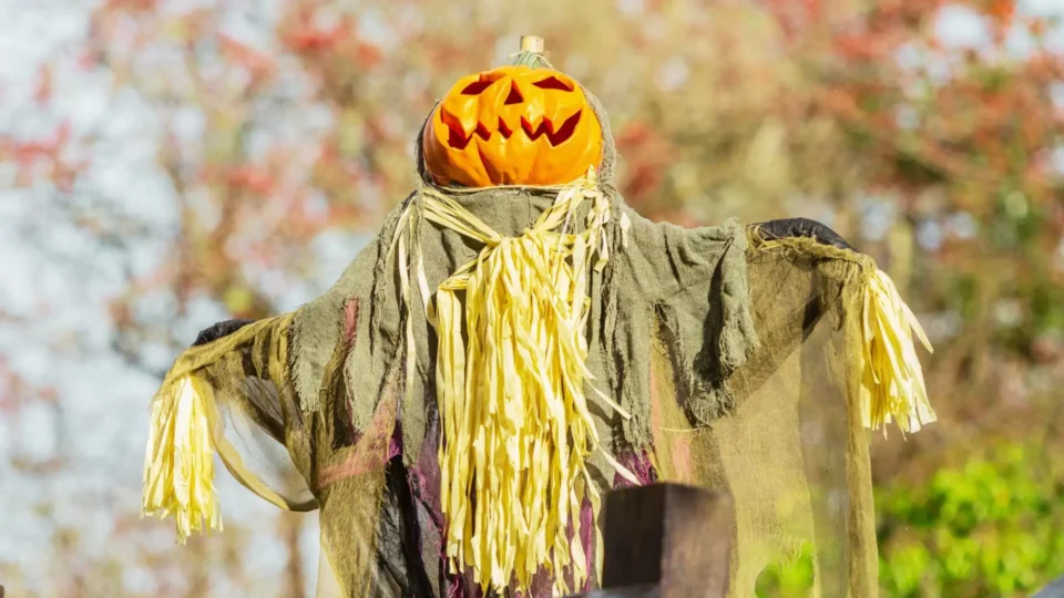 A scarecrow with a carved pumpkin head stands outdoors, dressed in tattered clothing and straw, with autumn trees in the background.