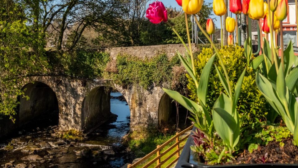 A stone bridge over a small river is seen in the background, with a planter of yellow and red tulips in the foreground on a sunny day.